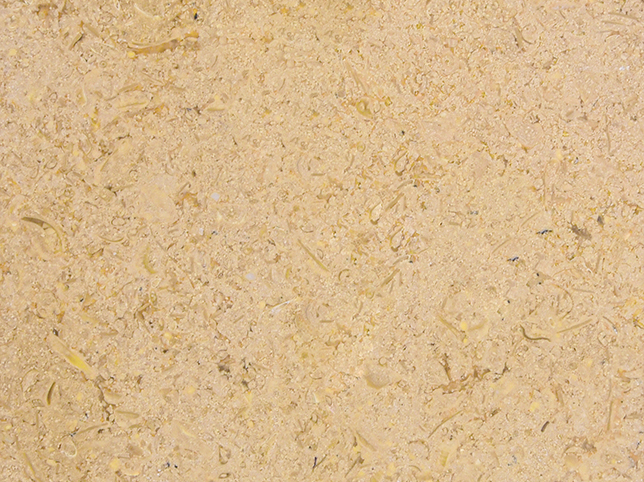Sinai Pearl - Light Biege Marble